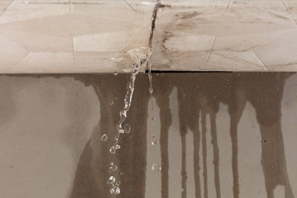 Professional Structural Drying technician working in East Quogue, NY